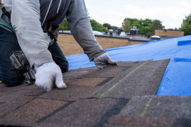 Best Chimney Flashing Repair  in Cedar Heights, MD